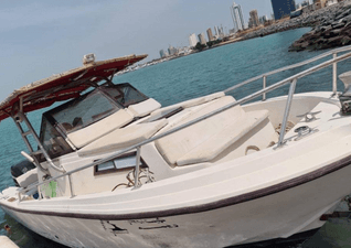 A 23 foot cruiser is available for sale 